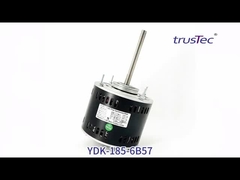Changzhou Trustec 48 إطار منفاخ المحرك - YDK-185-6B57 فحص وظيفي